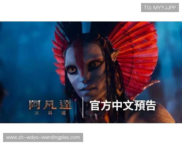 并非偶然卡梅隆-杨如何通过调整期待实现职业突破